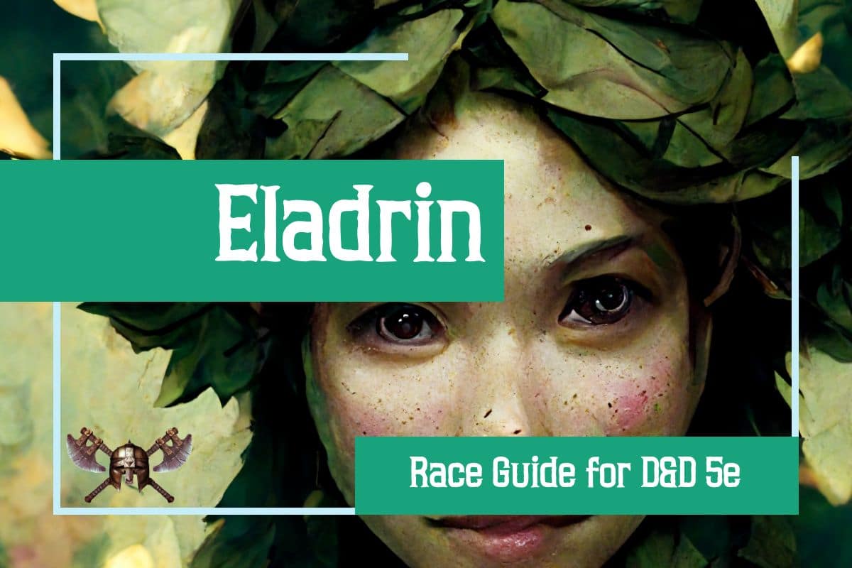D&D - NMM - Winter/Spring Eladrin – DruidDice