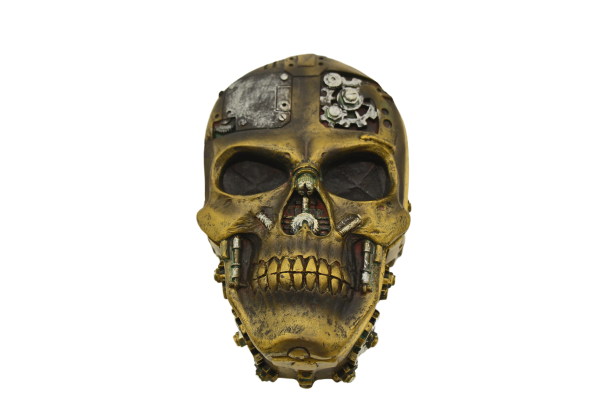 Flat Steampunk Skull - Dice Container for RPGs