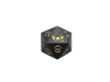 Metal D20 for DND Gold with SkullSplitter Logo
